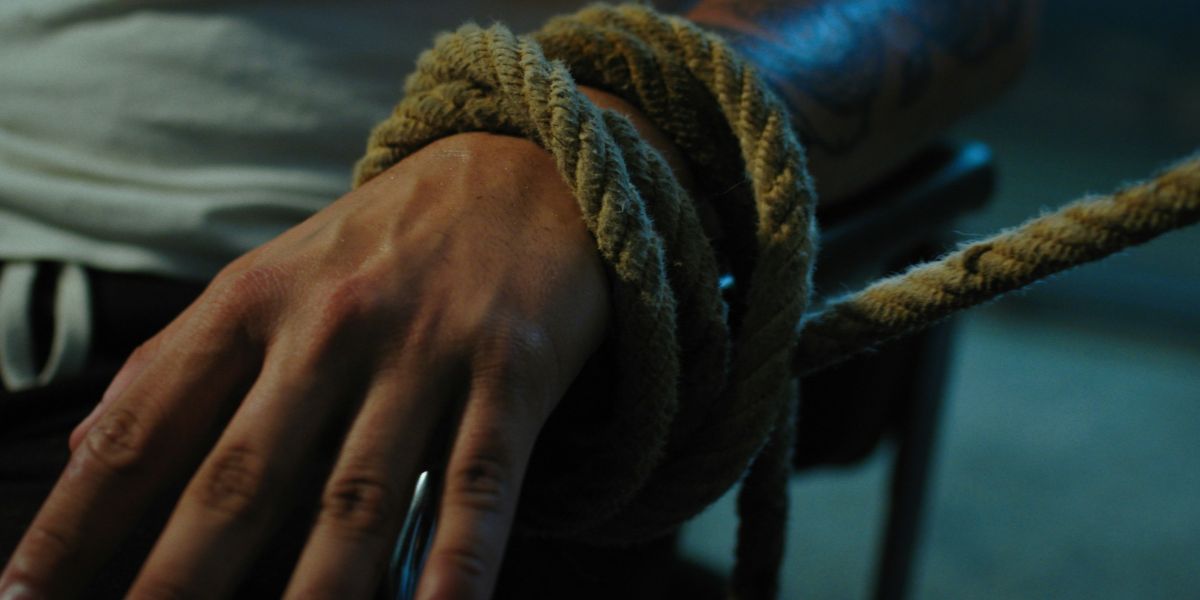 Cover image of Lorem ipsum dolor sit amets